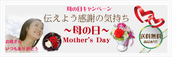 「KaBiN」母の日キャンペーン